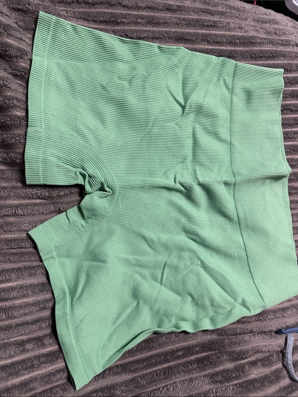 wild fable Mint Green Ribbed High-Waist Bike Shorts
